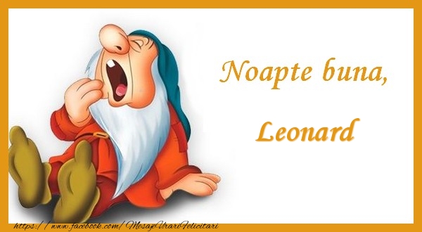 Felicitari de noapte buna - Noapte buna Leonard