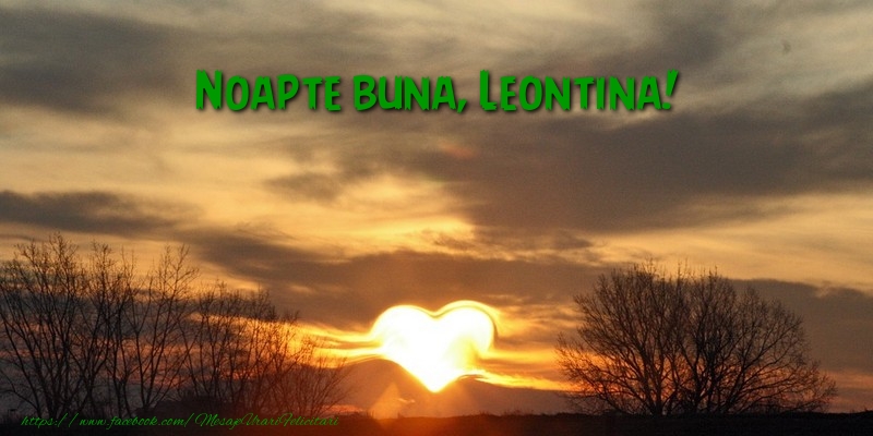 Felicitari de noapte buna - Noapte buna Leontina