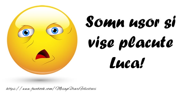 Felicitari de noapte buna - Somn usor si vise placute Luca!