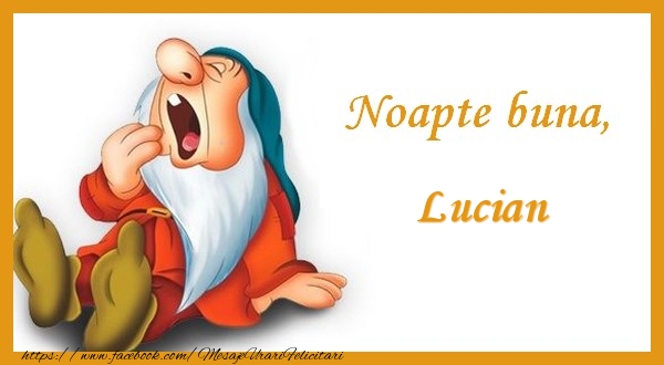 Felicitari de noapte buna - Noapte buna Lucian
