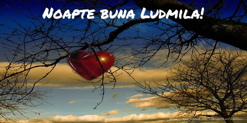 Felicitari de noapte buna - Noapte buna Ludmila!