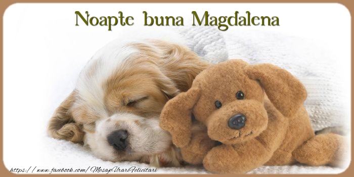 Felicitari de noapte buna - Animație & Ursuleti | Noapte buna Magdalena