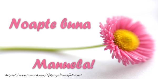 Felicitari de noapte buna - Flori | Noapte buna Manuela!