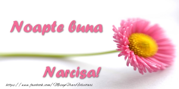 Felicitari de noapte buna - Flori | Noapte buna Narcisa!