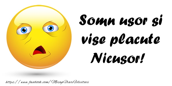 Felicitari de noapte buna - Somn usor si vise placute Nicusor!