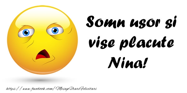 Felicitari de noapte buna - Emoticoane | Somn usor si vise placute Nina!