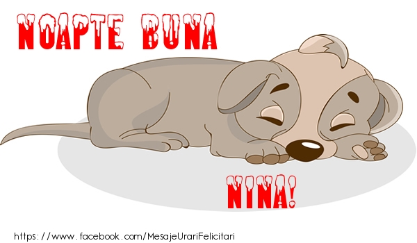 Felicitari de noapte buna - Animație | Noapte buna Nina!