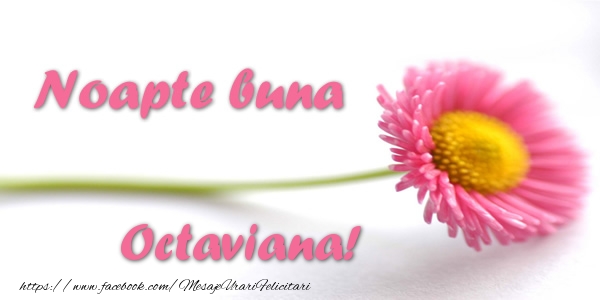 Felicitari de noapte buna - Flori | Noapte buna Octaviana!
