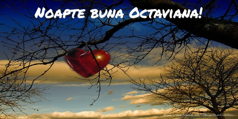  Felicitari de noapte buna - ❤️❤️❤️ Inimioare | Noapte buna Octaviana!