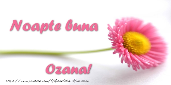 Felicitari de noapte buna - Flori | Noapte buna Ozana!