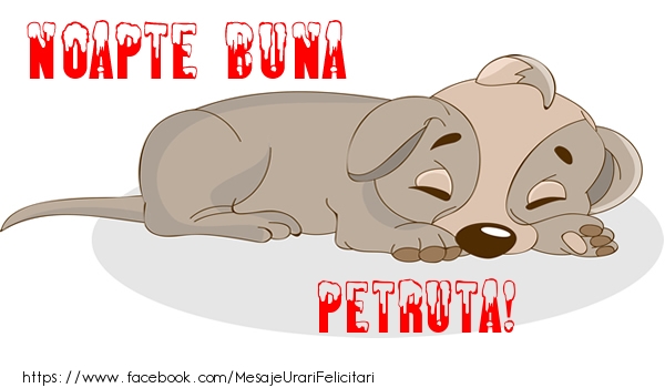 Felicitari de noapte buna - Animație | Noapte buna Petruta!