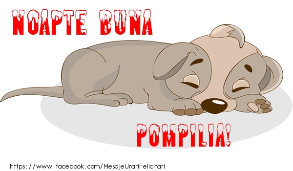 Felicitari de noapte buna - Animație | Noapte buna Pompilia!