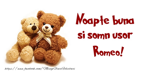 Felicitari de noapte buna - Ursuleti | Noapte buna si Somn usor Romeo!