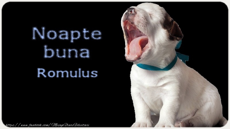 Felicitari de noapte buna - Noapte buna Romulus