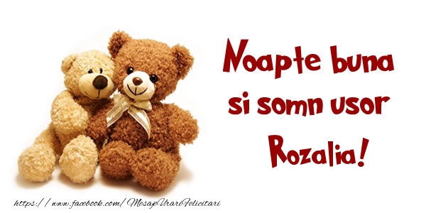 Felicitari de noapte buna - Ursuleti | Noapte buna si Somn usor Rozalia!