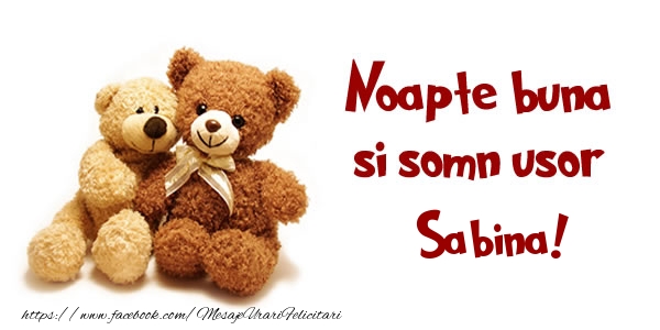 Felicitari de noapte buna - Ursuleti | Noapte buna si Somn usor Sabina!