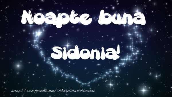 Felicitari de noapte buna - Noapte buna Sidonia!