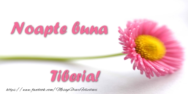 Felicitari de noapte buna - Flori | Noapte buna Tiberia!