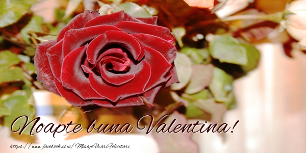 Felicitari de noapte buna - Trandafiri | Noapte buna Valentina!