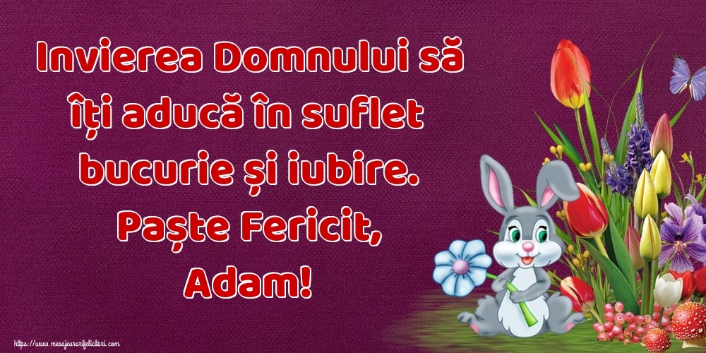 Felicitari de Paste - Iepuras & Flori | Invierea Domnului să îți aducă în suflet bucurie și iubire. Paște Fericit, Adam!