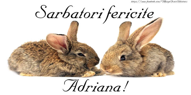 Felicitari de Paste - Iepuras | Sarbatori fericite Adriana!