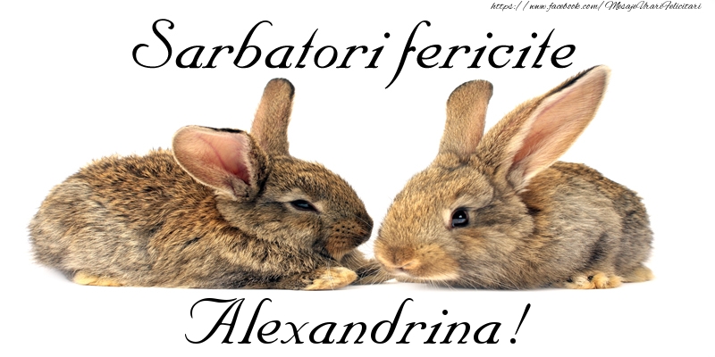 Felicitari de Paste - Iepuras | Sarbatori fericite Alexandrina!