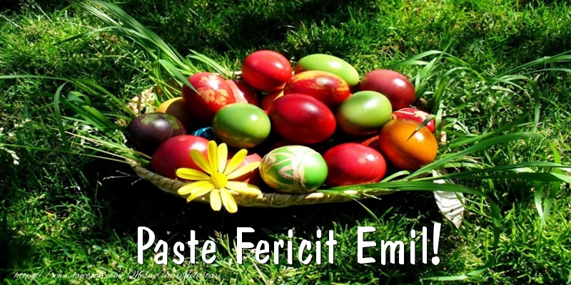 Felicitari de Paste - Oua | Paste Fericit Emil!