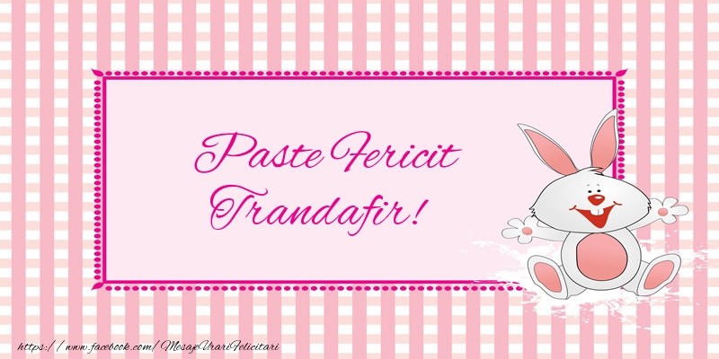 Felicitari de Paste - Iepuras | Paste Fericit Trandafir!