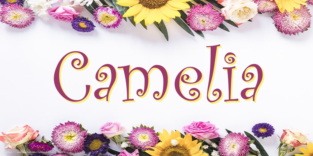 Felicitari cu numele tau -  Poza cu numele Camelia - Flori