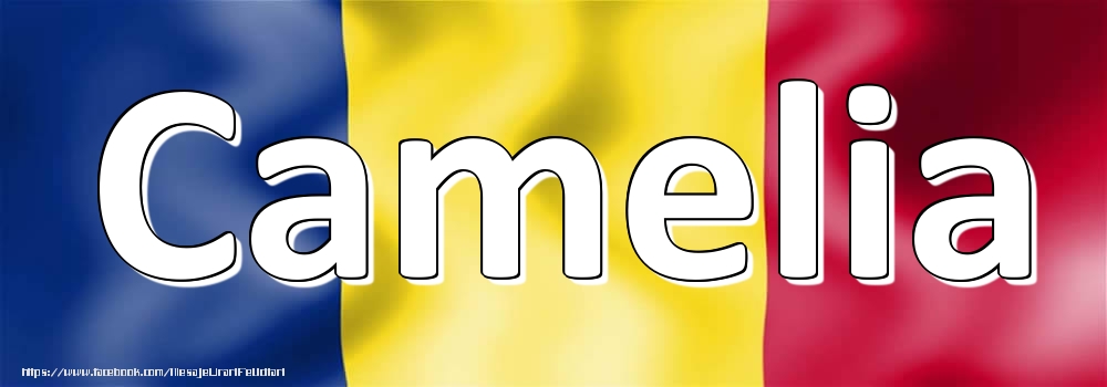 Felicitari cu numele tau - Numele Camelia pe steagul României