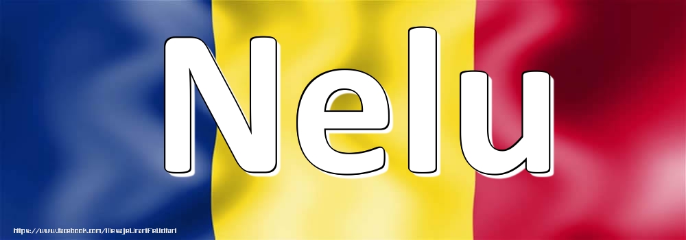 Felicitari cu numele tau - Numele Nelu pe steagul României