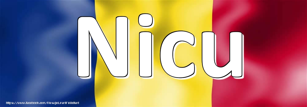 Felicitari cu numele tau - Numele Nicu pe steagul României