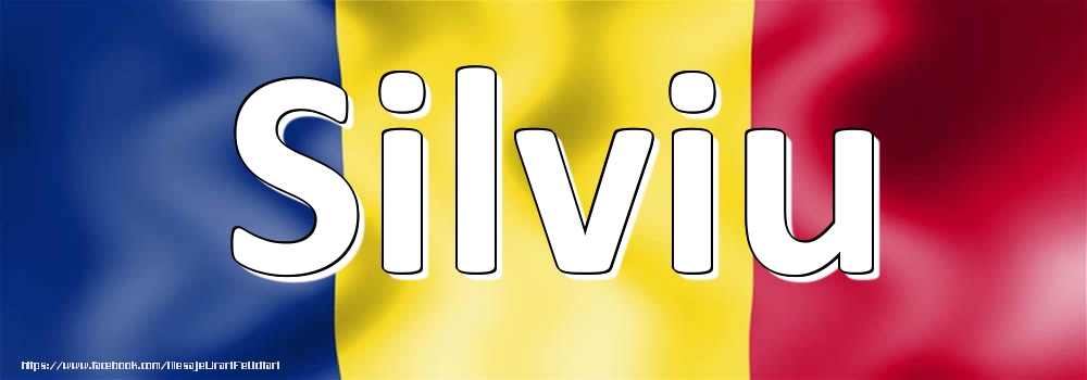 Felicitari cu numele tau - Numele Silviu pe steagul României