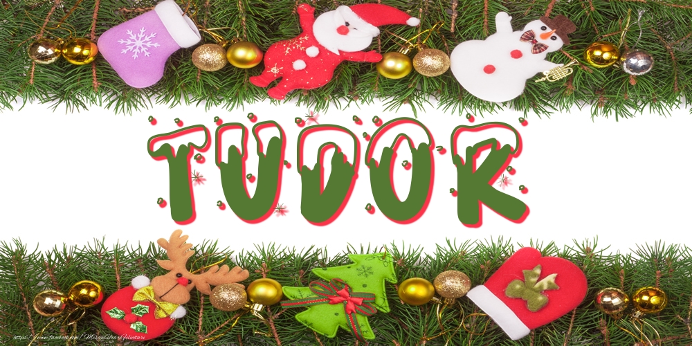 Felicitari cu numele tau - Poza cu numele Tudor de Craciun