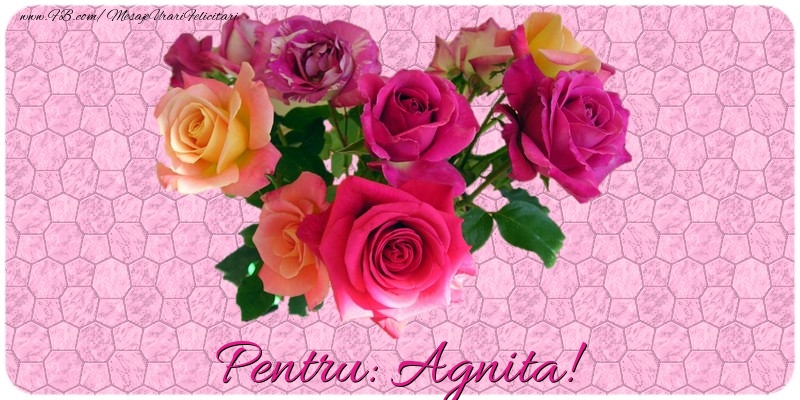Felicitari de prietenie - Pentru Agnita