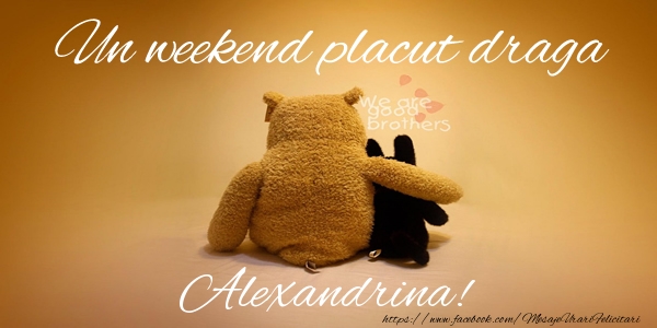 Felicitari de prietenie - Ursuleti | Un weekend placut draga Alexandrina!