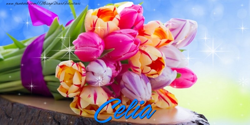 Felicitari de prietenie - Buchete De Flori | Celia