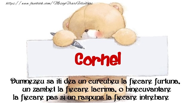 Felicitari de prietenie - Ursuleti | Mesaj pentru prieteni! Cornel