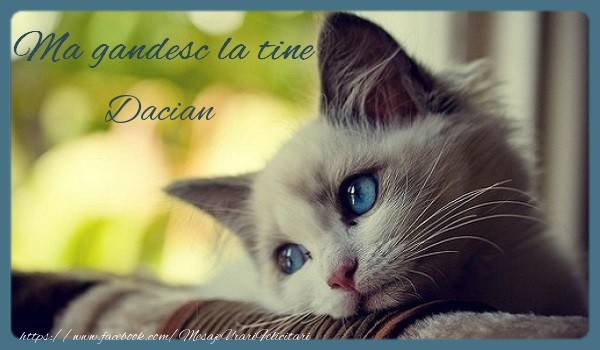 Felicitari de prietenie - Ma gandesc la tine Dacian
