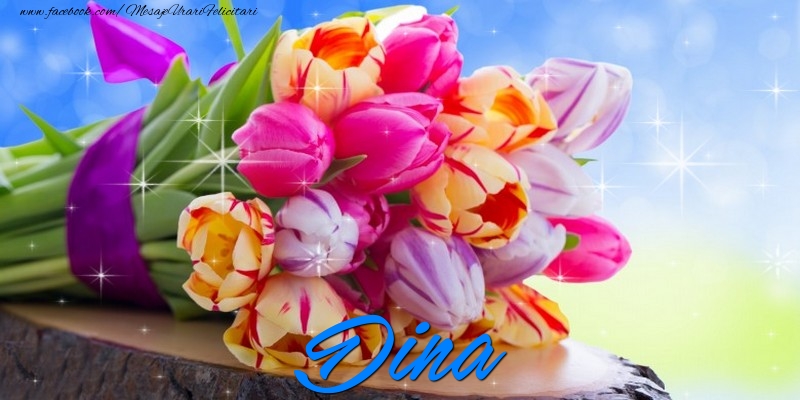 Felicitari de prietenie - Dina