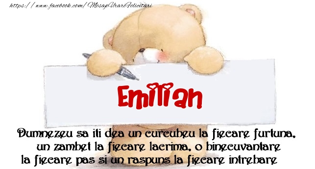 Felicitari de prietenie - Ursuleti | Mesaj pentru prieteni! Emilian