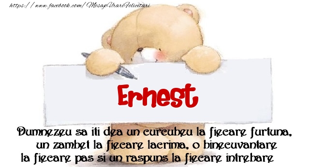 Felicitari de prietenie - Ursuleti | Mesaj pentru prieteni! Ernest