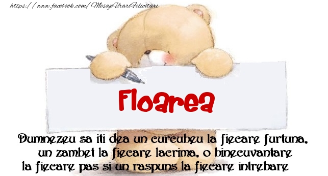 Felicitari de prietenie - Mesaj pentru prieteni! Floarea