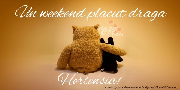 Felicitari de prietenie - Ursuleti | Un weekend placut draga Hortensia!