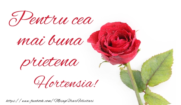 Felicitari de prietenie - Trandafiri | Pentru cea mai buna prietena Hortensia!