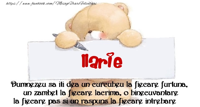 Felicitari de prietenie - Ursuleti | Mesaj pentru prieteni! Ilarie