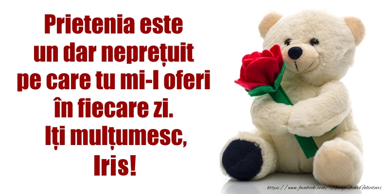 Felicitari de prietenie - Flori & Ursuleti | Prietenia este un dar neprețuit pe care tu mi-l oferi în fiecare zi. Iți mulțumesc, Iris!