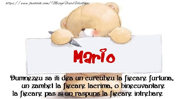 Felicitari de prietenie - Ursuleti | Mesaj pentru prieteni! Mario