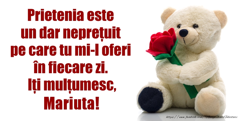 Felicitari de prietenie - Flori & Ursuleti | Prietenia este un dar neprețuit pe care tu mi-l oferi în fiecare zi. Iți mulțumesc, Mariuta!