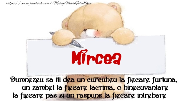 Felicitari de prietenie - Ursuleti | Mesaj pentru prieteni! Mircea